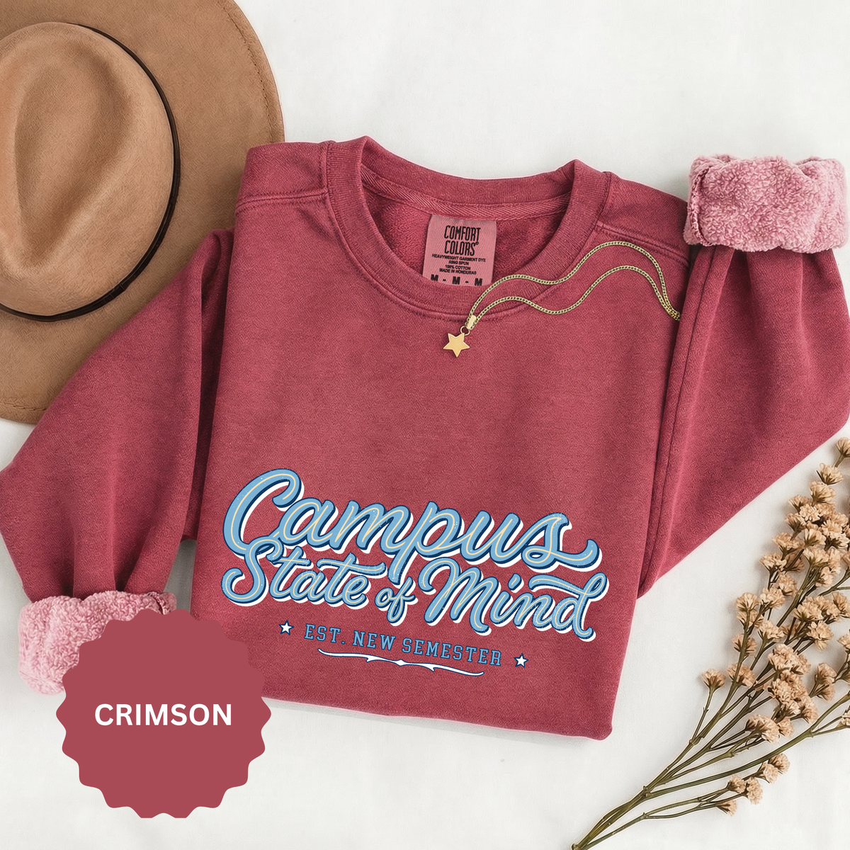 Campus State of Mind Sweatshirt, New Semester College Crewneck, University Student Gift, Back to School Pullover, Campus Outfit, Dorm Life