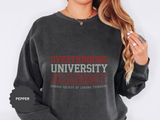 Overthinking University Sweatshirt, Funny Anxiety Crewneck, Chronic Thinker Gift, College Student Pullover, Sarcastic Campus Outfit