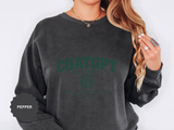 ChatGPT University Sweatshirt, Prompt Engineering Crewneck, AI Student Gift, Funny Tech Pullover, Coder Graduation Campus Outfit 2026