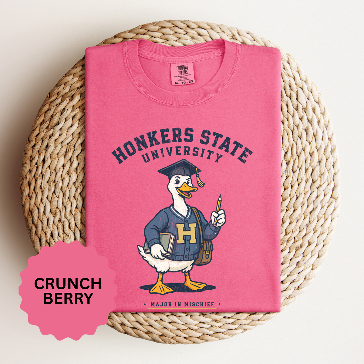 Honkers State University T-Shirt, Funny Goose Graduate Graphic Tee, Major in Mischief College Student Gift, Graduation Campus Shirt
