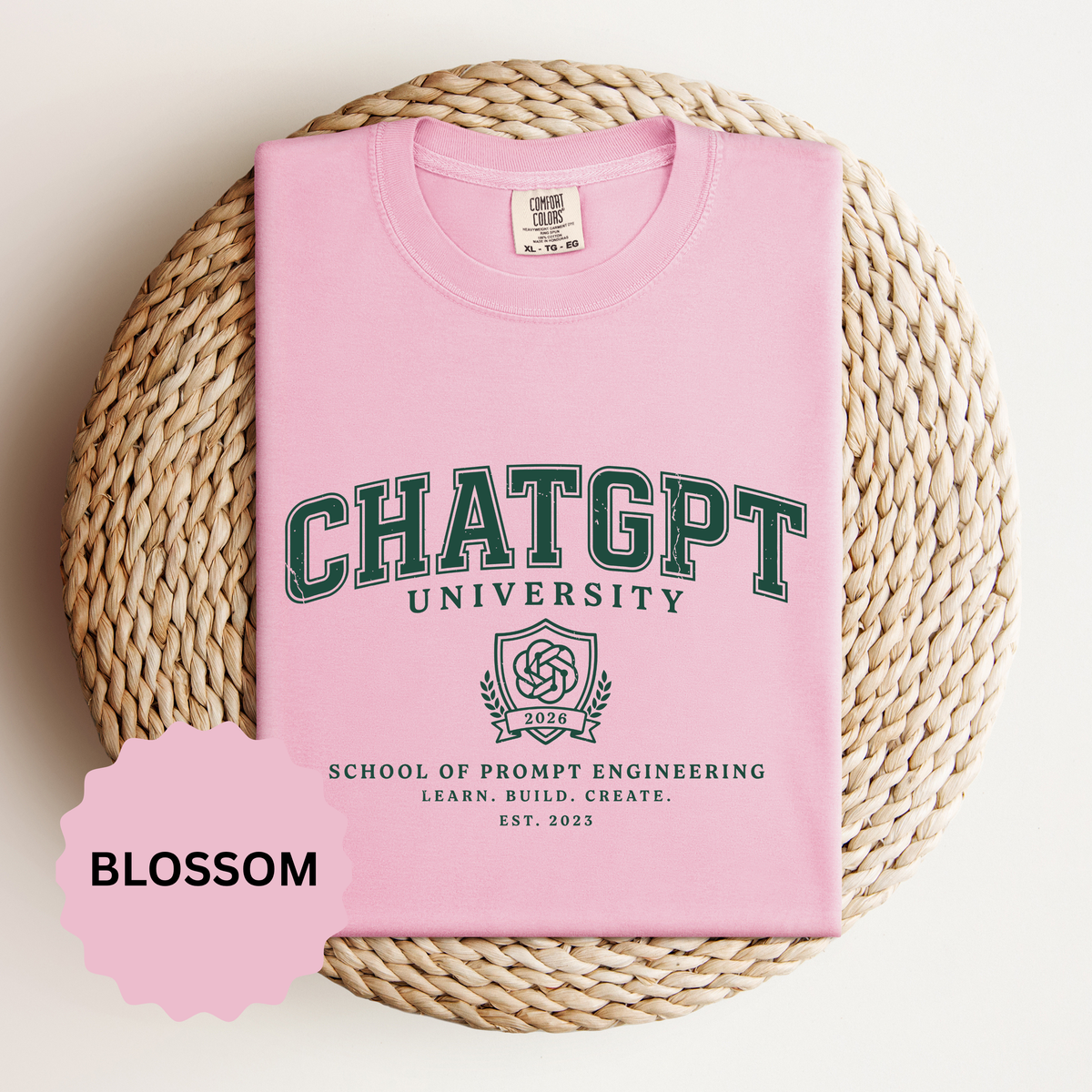 ChatGPT University T-Shirt, Prompt Engineering Graphic Tee, AI Student Gift, Funny Tech Shirt, Coder Graduation Campus Outfit 2026