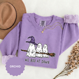 We Boo at Dawn Ghost Sweatshirt, Funny Halloween Witch Broom Pullover, Cute Spooky Season Gift for Friends and Ghost Lovers, October Outfit