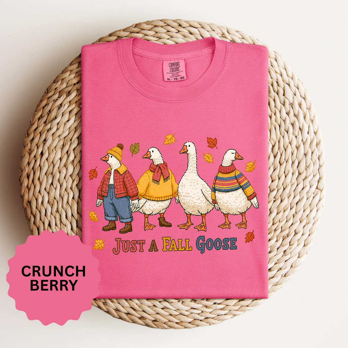 Funny Fall Goose Shirt, Just a Fall Goose Autumn Graphic Tee, Cute Cozy Gift for Bird Lover, Thanksgiving and October Outfit for Her