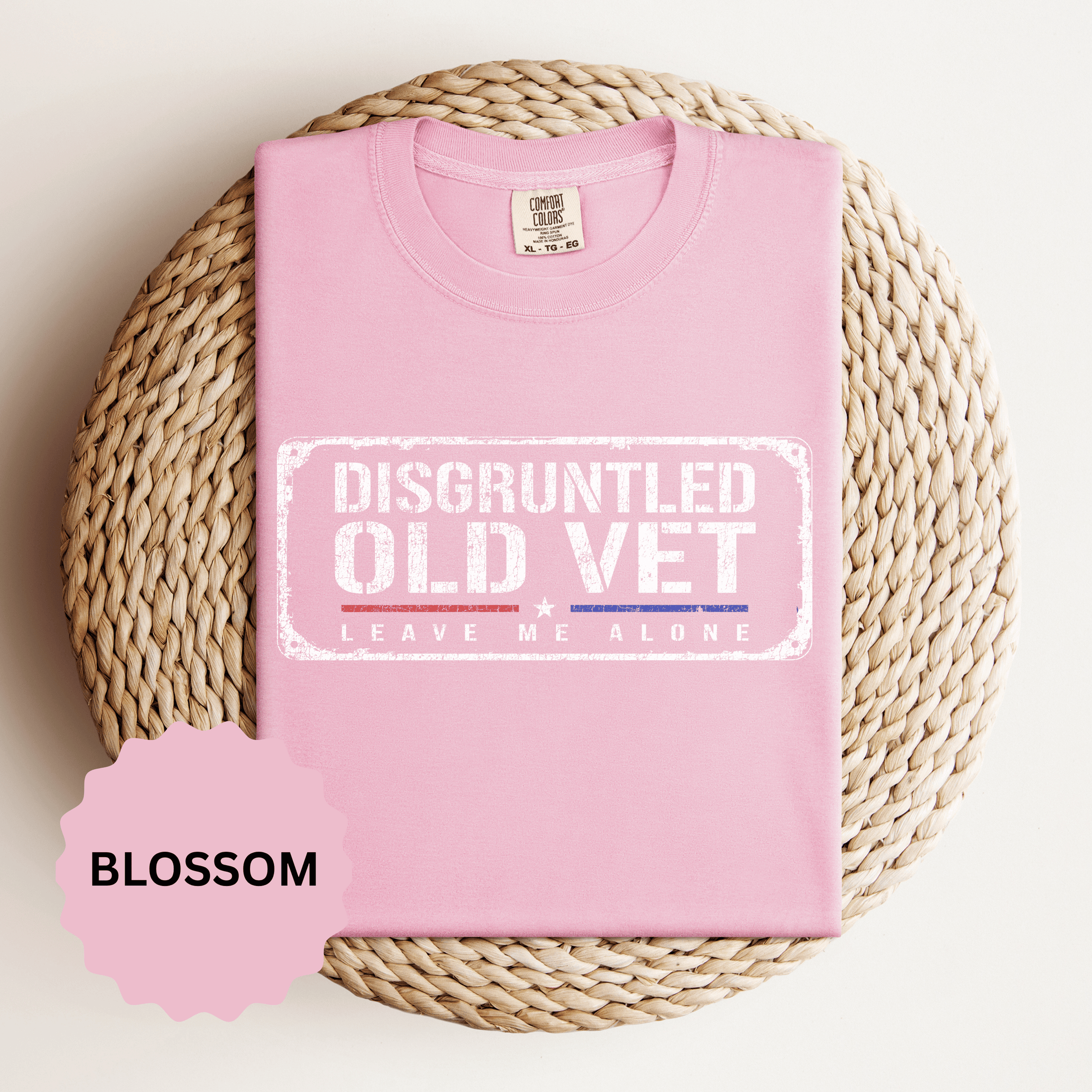 Disgruntled Old Vet Shirt, Leave Me Alone Veteran T-Shirt, Funny Military Gift for Retired Soldier, Sarcastic Veterans Day Tee for Grandpa