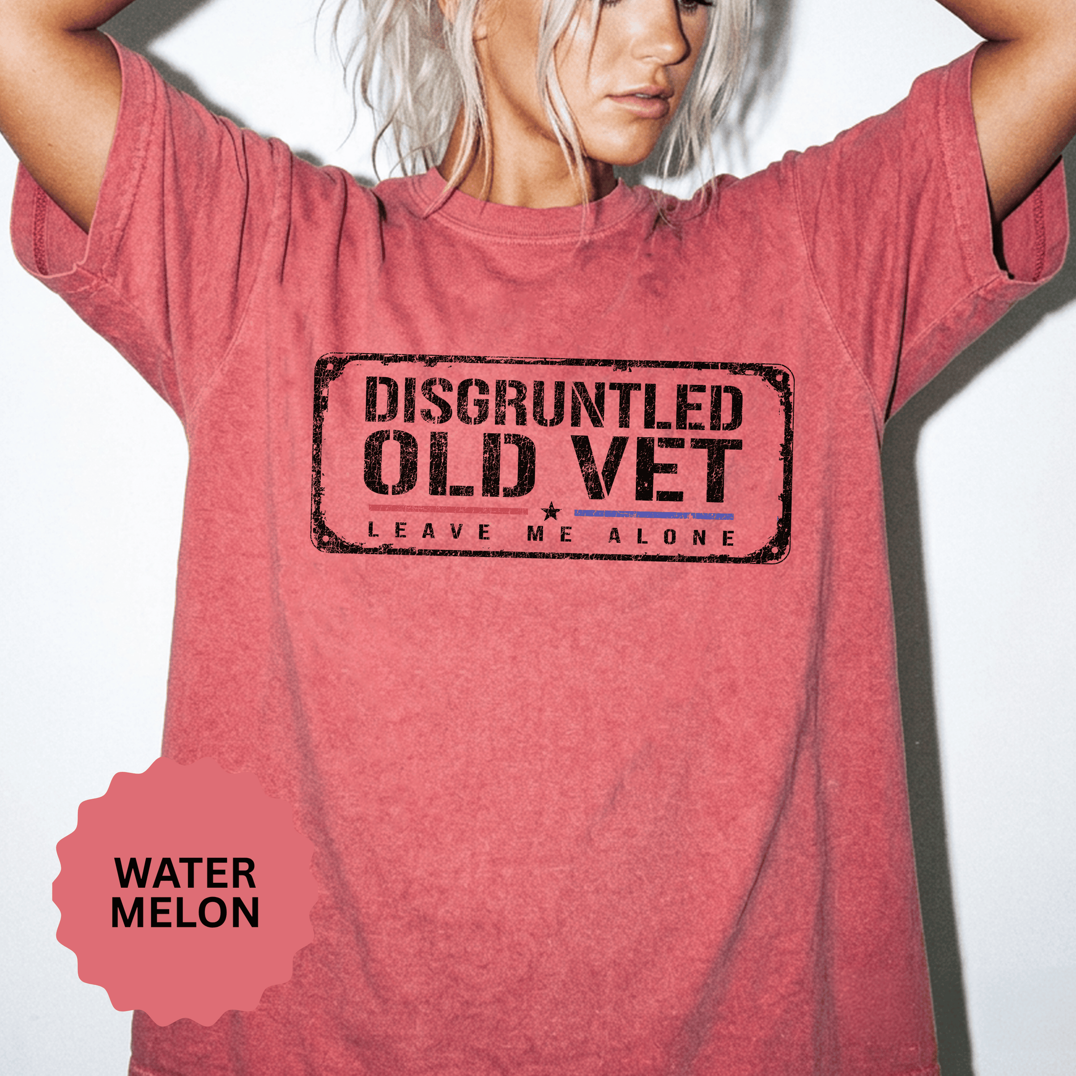 Disgruntled Old Vet Shirt, Leave Me Alone Veteran T-Shirt, Funny Military Gift for Retired Soldier, Sarcastic Veterans Day Tee for Grandpa