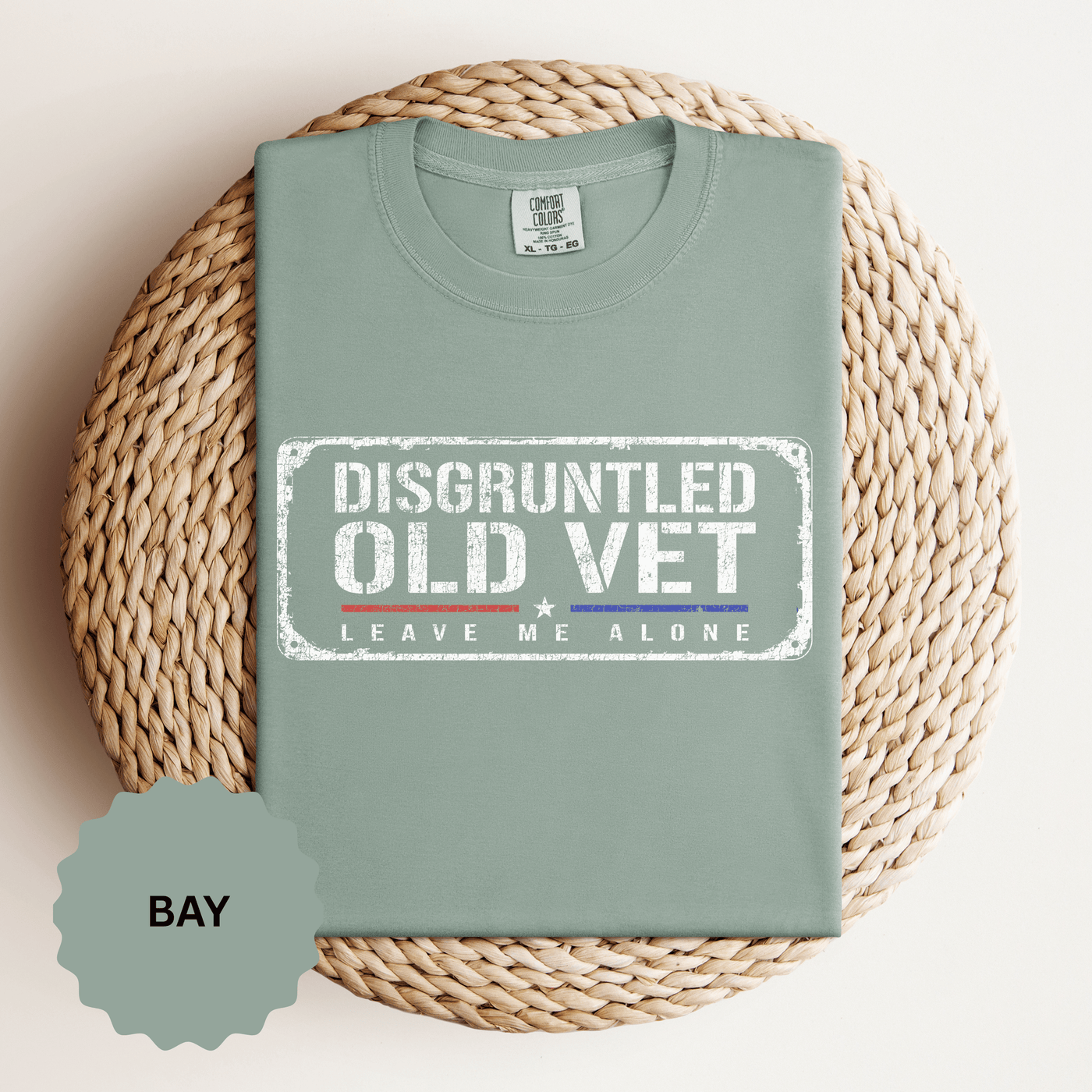 Disgruntled Old Vet Shirt, Leave Me Alone Veteran T-Shirt, Funny Military Gift for Retired Soldier, Sarcastic Veterans Day Tee for Grandpa