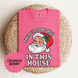 There's Some Ho's in This House Shirt, Funny Santa Christmas T-Shirt, Adult Holiday Party Tee, Naughty Xmas Gift for Friends or Family