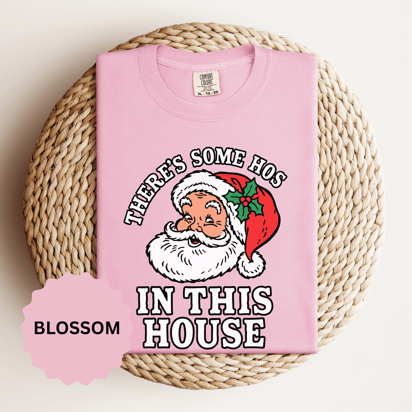 There's Some Ho's in This House Shirt, Funny Santa Christmas T-Shirt, Adult Holiday Party Tee, Naughty Xmas Gift for Friends or Family