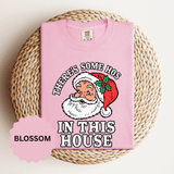 There's Some Ho's in This House Shirt, Funny Santa Christmas T-Shirt, Adult Holiday Party Tee, Naughty Xmas Gift for Friends or Family