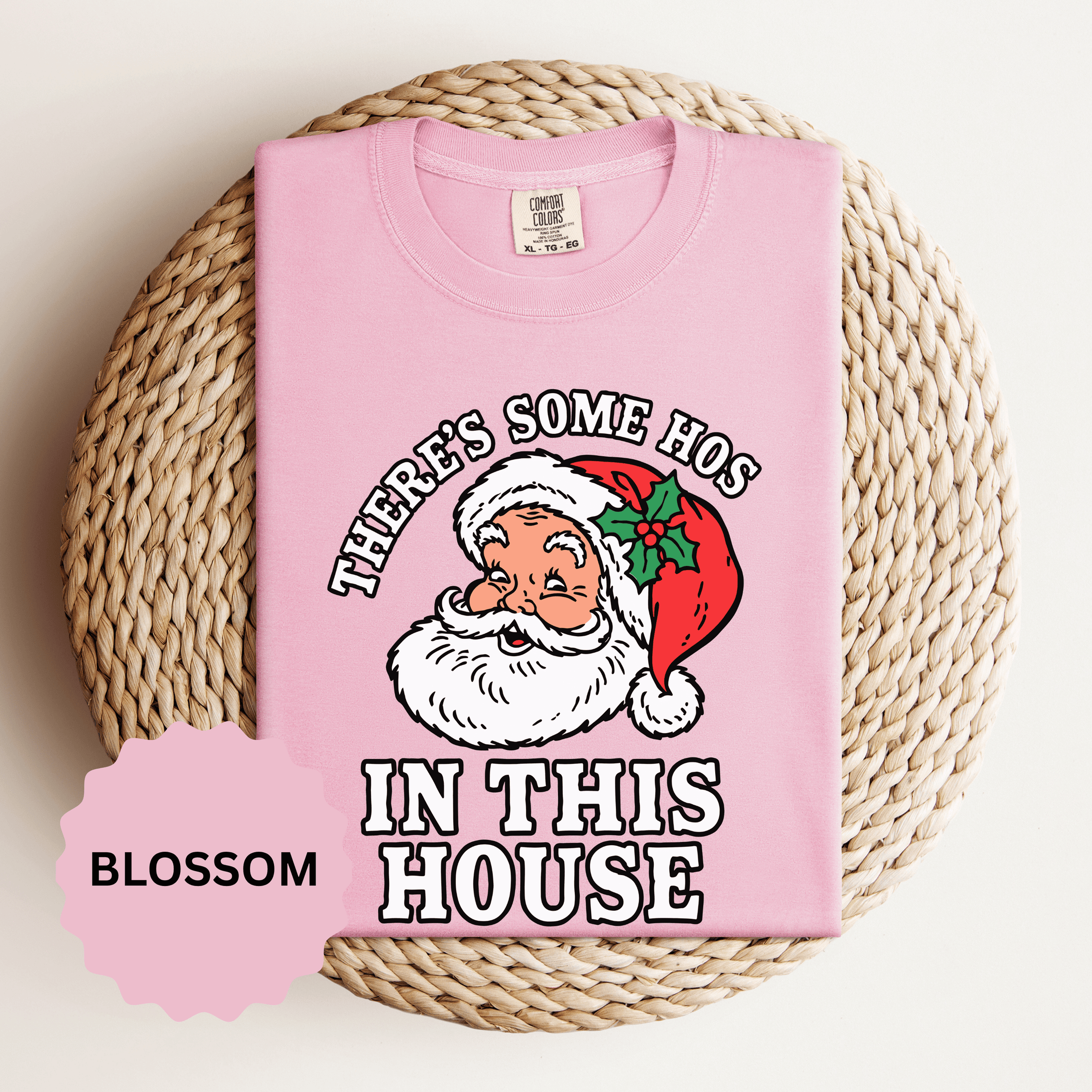 There's Some Ho's in This House Shirt, Funny Santa Christmas T-Shirt, Adult Holiday Party Tee, Naughty Xmas Gift for Friends or Family
