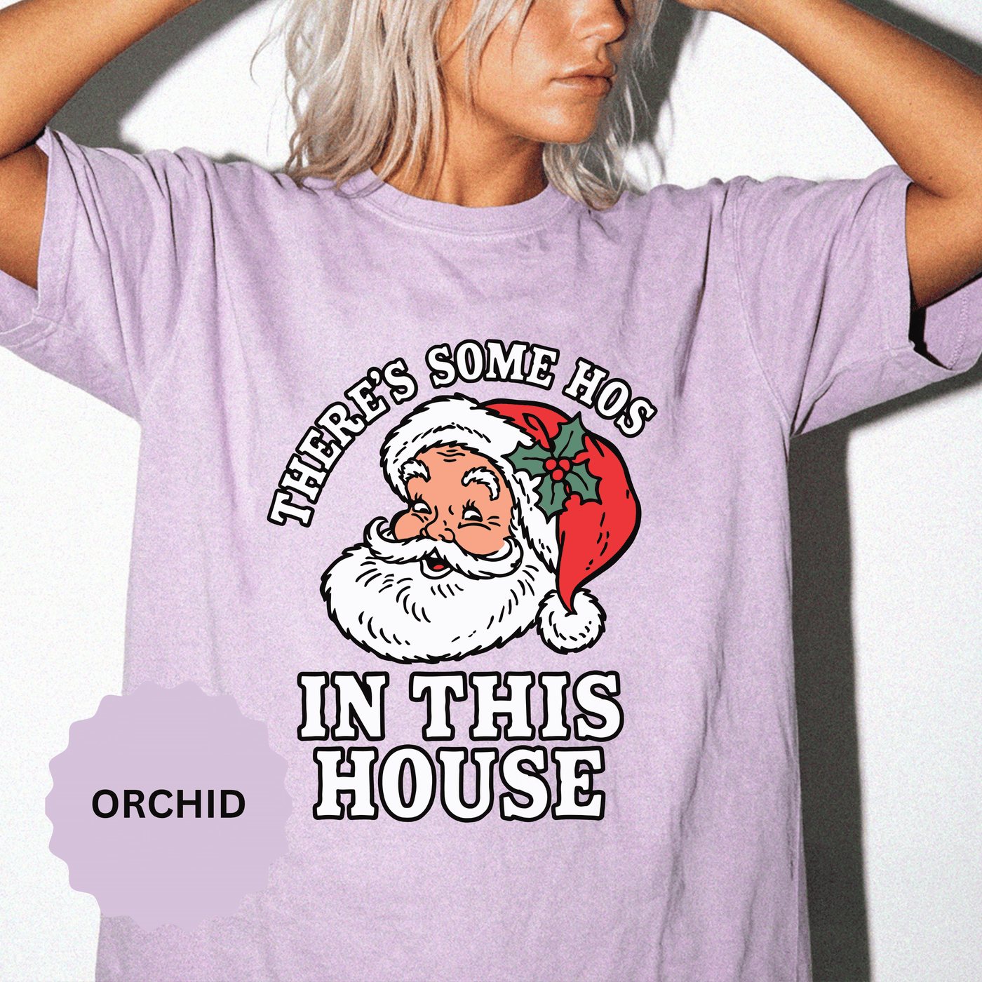 There's Some Ho's in This House Shirt, Funny Santa Christmas T-Shirt, Adult Holiday Party Tee, Naughty Xmas Gift for Friends or Family