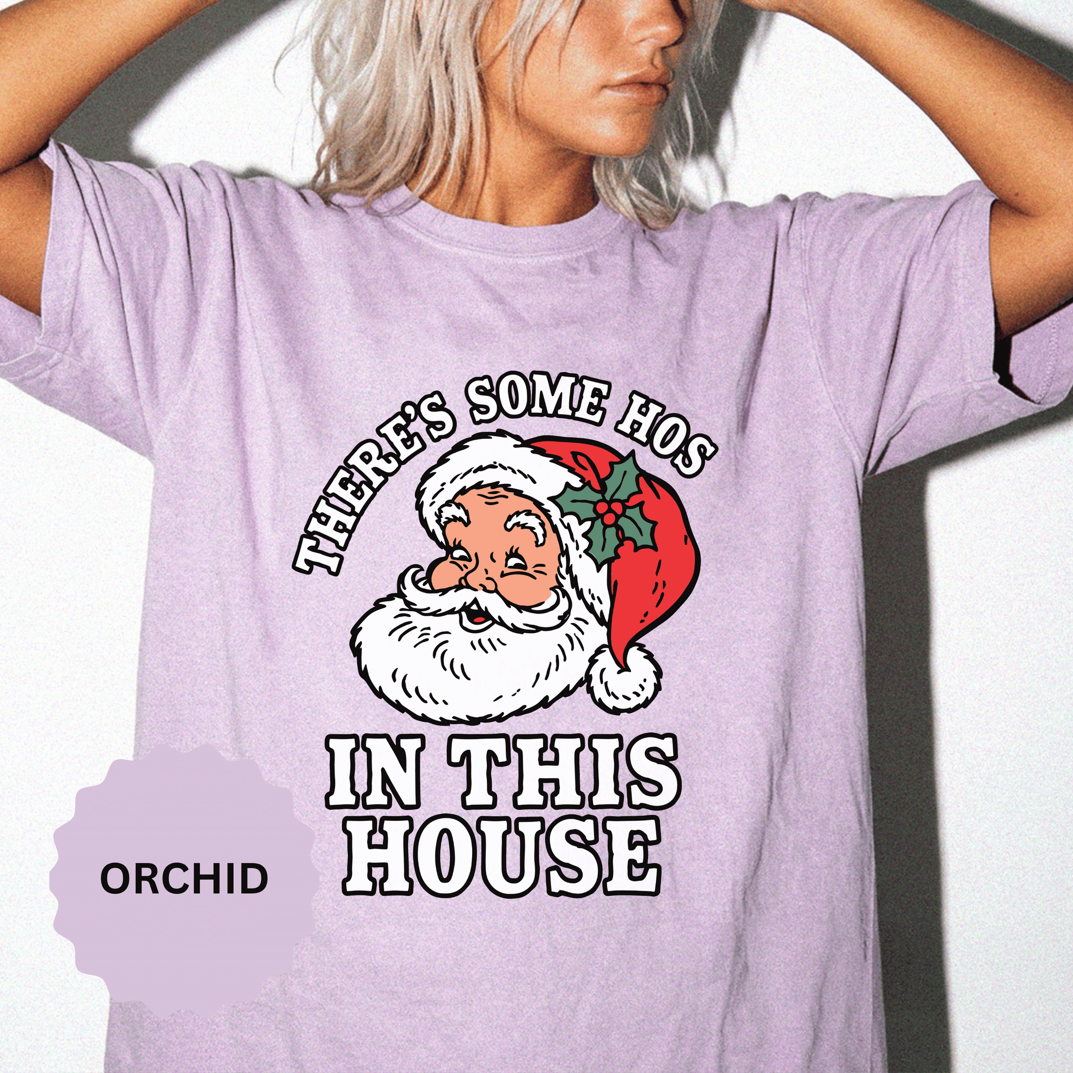 There's Some Ho's in This House Shirt, Funny Santa Christmas T-Shirt, Adult Holiday Party Tee, Naughty Xmas Gift for Friends or Family