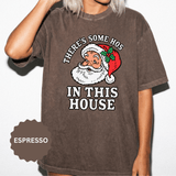 There's Some Ho's in This House Shirt, Funny Santa Christmas T-Shirt, Adult Holiday Party Tee, Naughty Xmas Gift for Friends or Family