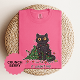 It Wasn't Me Black Cat Christmas Shirt, Funny Holiday T-Shirt, Mischievous Kitty Lights Tee, Gift for Cat Mom, Cat Dad, Christmas Party Top