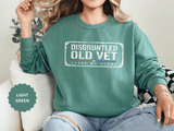 Disgruntled Old Vet Sweatshirt, Leave Me Alone Veteran Crewneck, Funny Military Gift for Retired Soldier, Sarcastic Grandpa Pullover