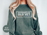 Disgruntled Old Vet Sweatshirt, Leave Me Alone Veteran Crewneck, Funny Military Gift for Retired Soldier, Sarcastic Grandpa Pullover