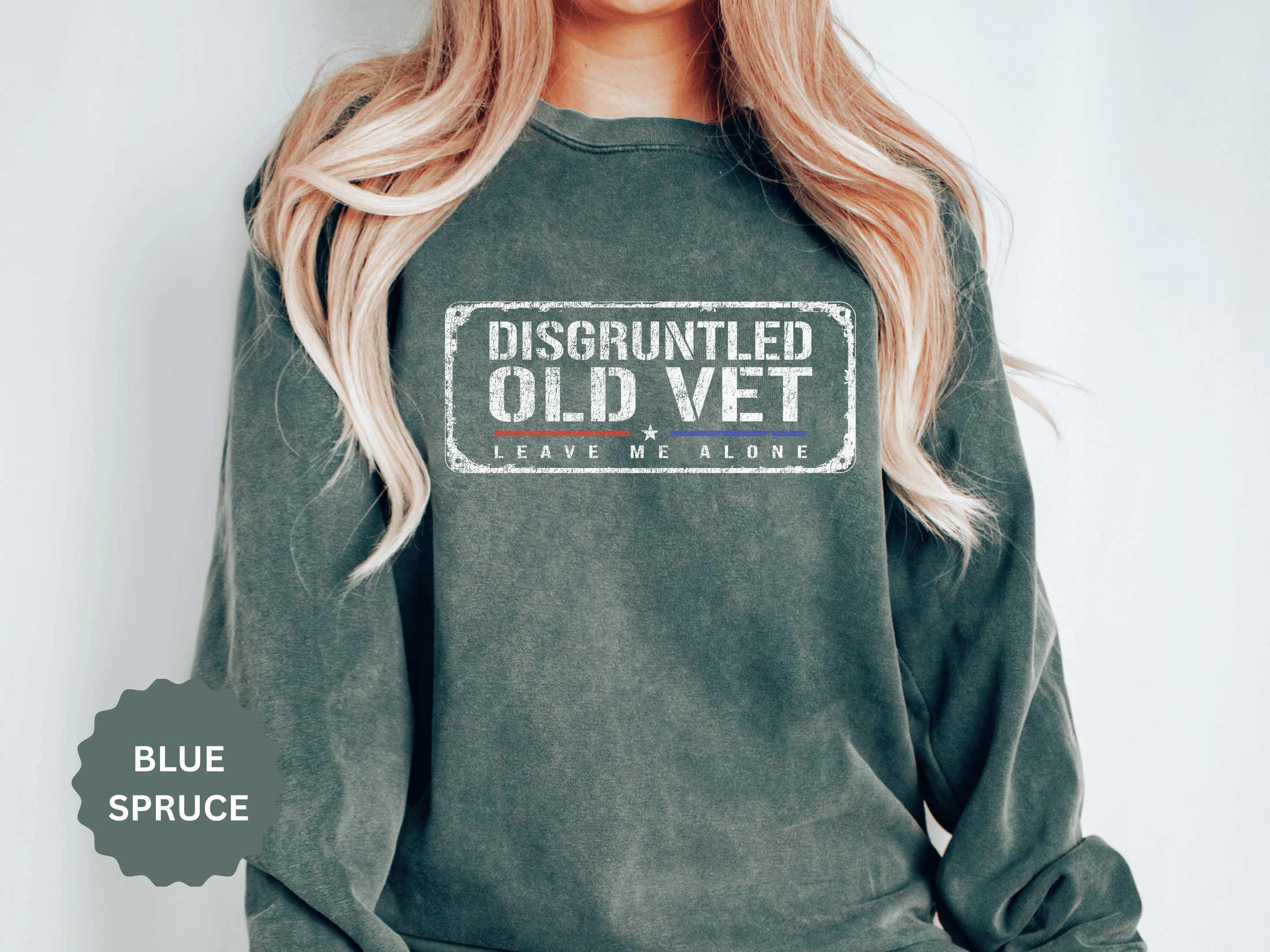 Disgruntled Old Vet Sweatshirt, Leave Me Alone Veteran Crewneck, Funny Military Gift for Retired Soldier, Sarcastic Grandpa Pullover