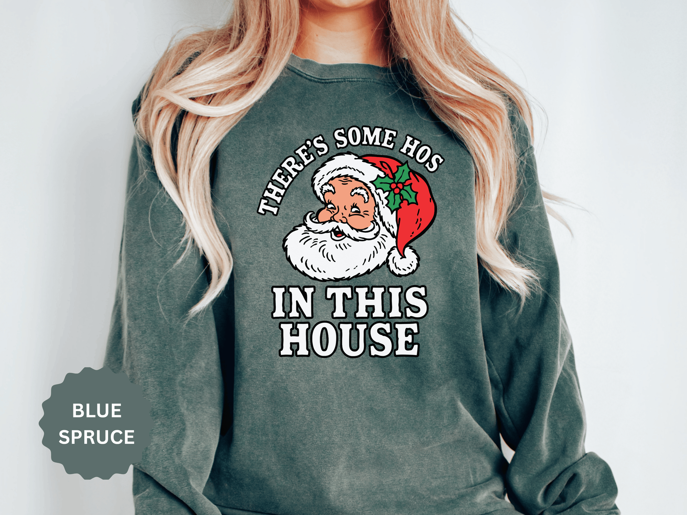 There's Some Ho's in This House Sweatshirt, Funny Santa Christmas Crewneck, Adult Holiday Party Pullover, Naughty Gift for Friends