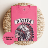 Native American Headdress Shirt, Patriotic USA Graphic Tee, Vintage American Eagle Style, Western Americana Gift, Fourth of July Shirt