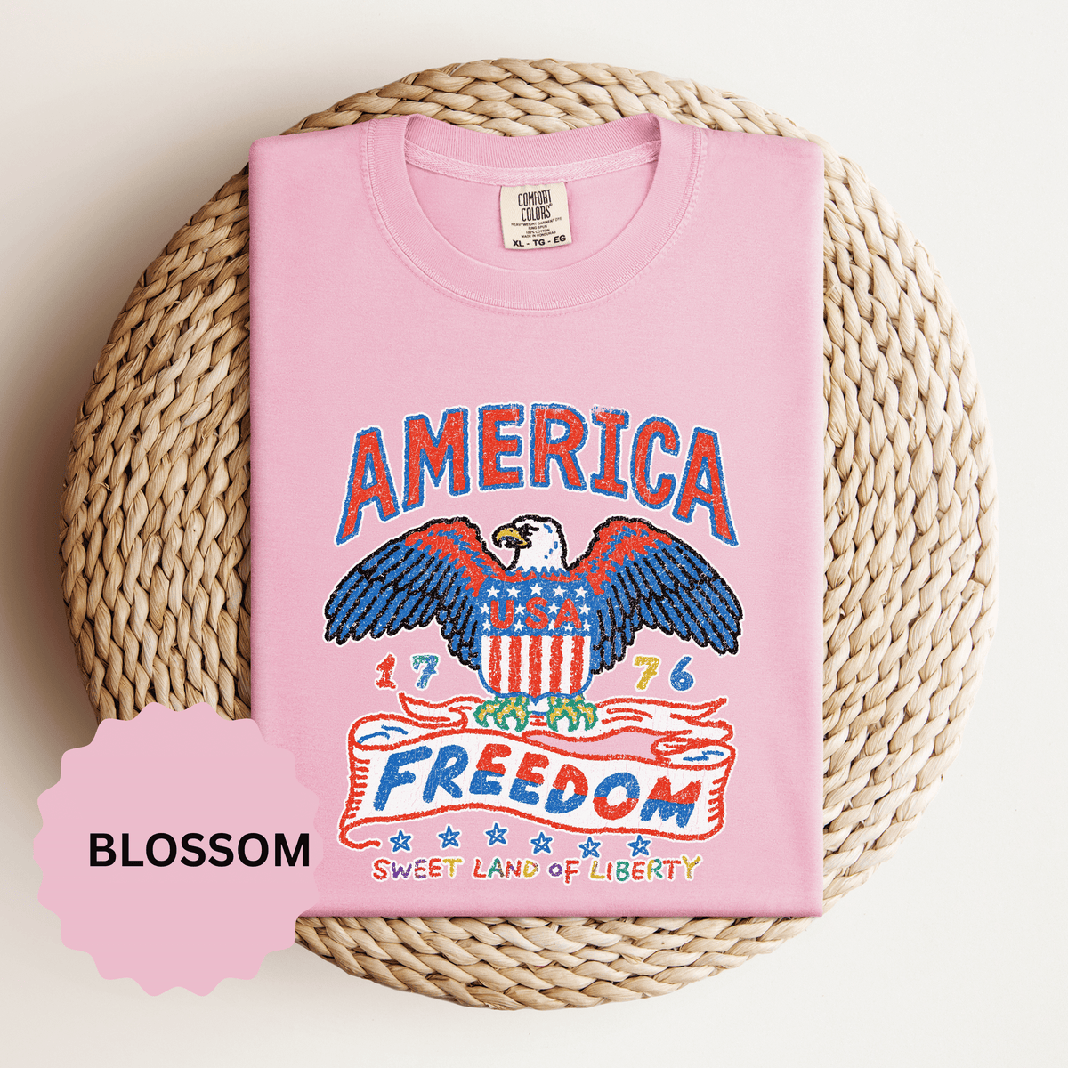 American Eagle Shirt, Patriotic USA Graphic Tee, Vintage Americana T Shirt, Fourth of July Outfit, American Pride Gift for Men and Women