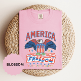 American Eagle Shirt, Patriotic USA Graphic Tee, Vintage Americana T Shirt, Fourth of July Outfit, American Pride Gift for Men and Women