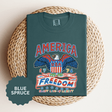 American Eagle Shirt, Patriotic USA Graphic Tee, Vintage Americana T Shirt, Fourth of July Outfit, American Pride Gift for Men and Women