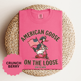 America 250 Shirt, Patriotic Goose Graphic Tee, 250th Anniversary USA T Shirt, Fourth of July Outfit, Americana Gift for Men and Women