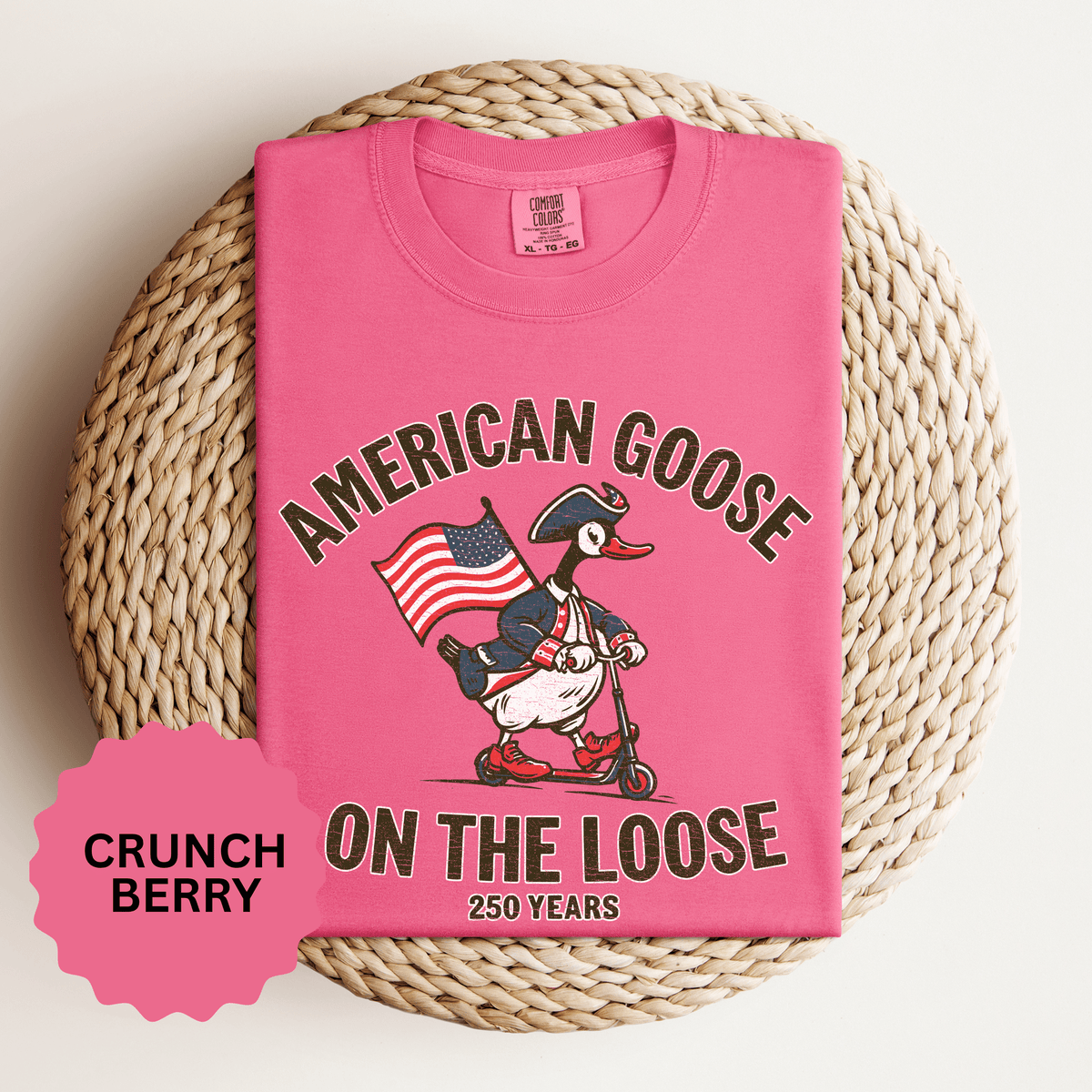 America 250 Shirt, Patriotic Goose Graphic Tee, 250th Anniversary USA T Shirt, Fourth of July Outfit, Americana Gift for Men and Women