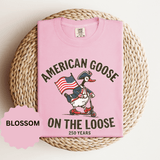 America 250 Shirt, Patriotic Goose Graphic Tee, 250th Anniversary USA T Shirt, Fourth of July Outfit, Americana Gift for Men and Women