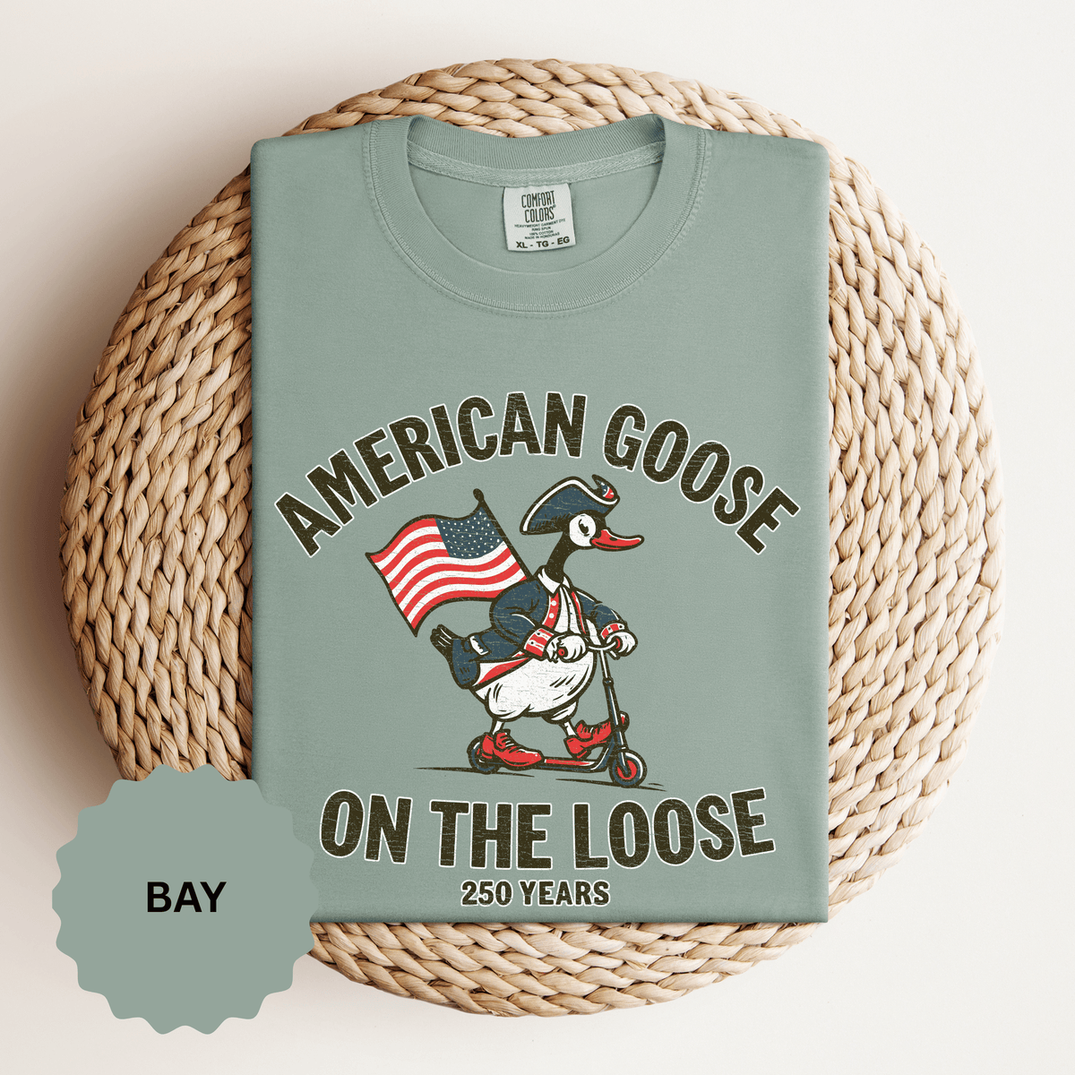America 250 Shirt, Patriotic Goose Graphic Tee, 250th Anniversary USA T Shirt, Fourth of July Outfit, Americana Gift for Men and Women