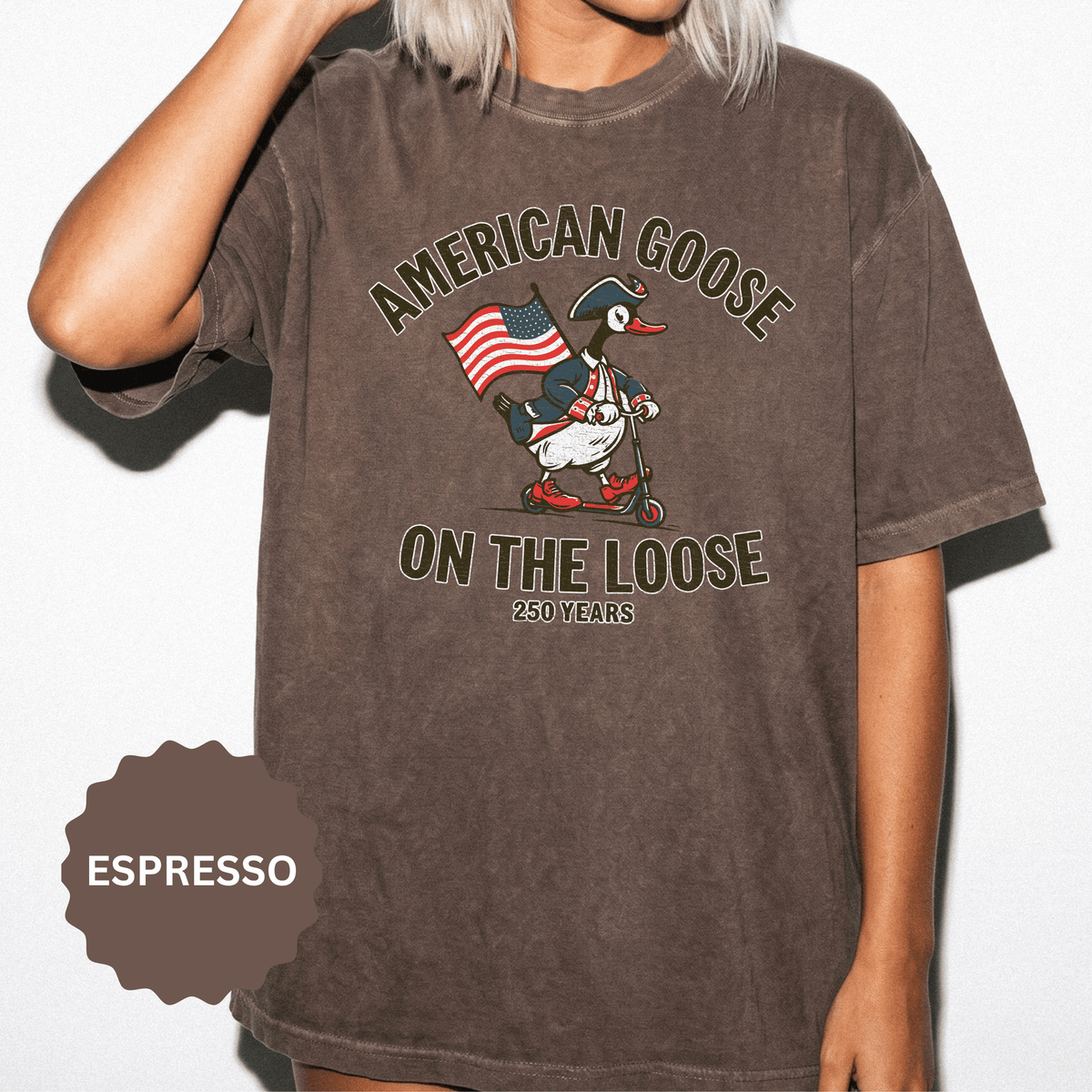 America 250 Shirt, Patriotic Goose Graphic Tee, 250th Anniversary USA T Shirt, Fourth of July Outfit, Americana Gift for Men and Women