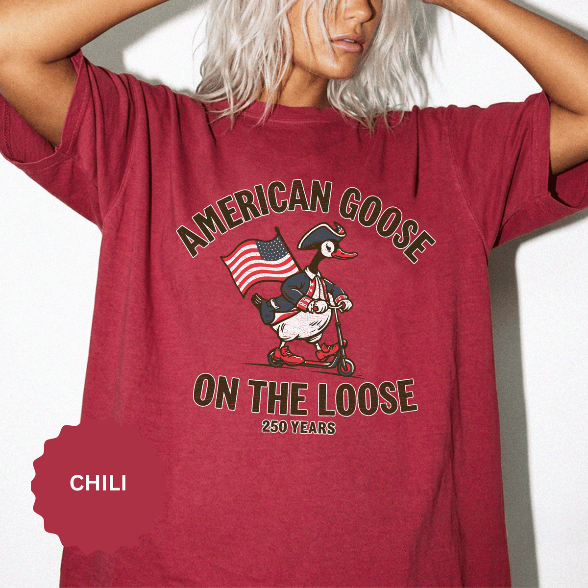 America 250 Shirt, Patriotic Goose Graphic Tee, 250th Anniversary USA T Shirt, Fourth of July Outfit, Americana Gift for Men and Women