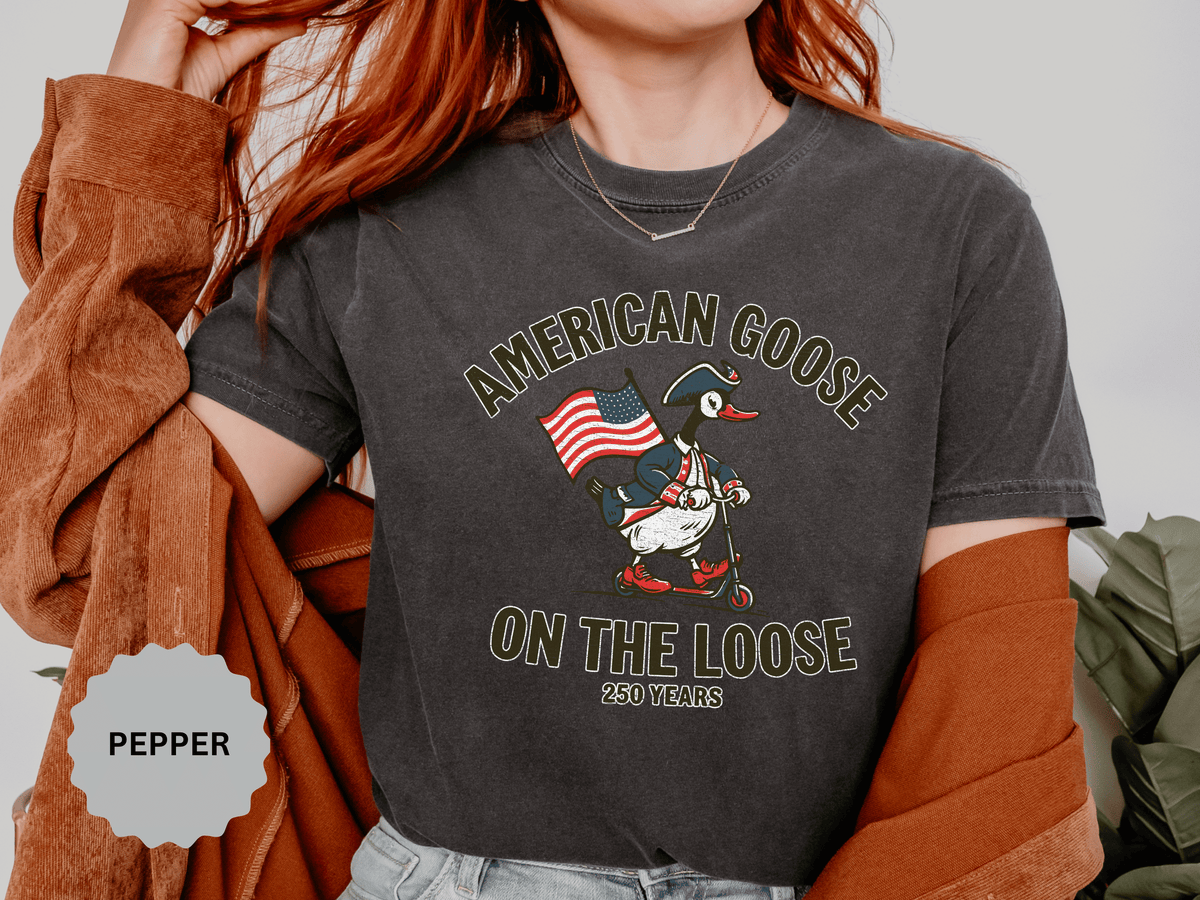 America 250 Shirt, Patriotic Goose Graphic Tee, 250th Anniversary USA T Shirt, Fourth of July Outfit, Americana Gift for Men and Women