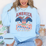 American Eagle Sweatshirt, Patriotic USA Graphic Pullover, Vintage Americana Crewneck, Fourth of July Outfit, American Pride Gift
