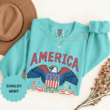 American Eagle Sweatshirt, Patriotic USA Graphic Pullover, Vintage Americana Crewneck, Fourth of July Outfit, American Pride Gift