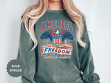American Eagle Sweatshirt, Patriotic USA Graphic Pullover, Vintage Americana Crewneck, Fourth of July Outfit, American Pride Gift