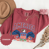 American Eagle Sweatshirt, Patriotic USA Graphic Pullover, Vintage Americana Crewneck, Fourth of July Outfit, American Pride Gift