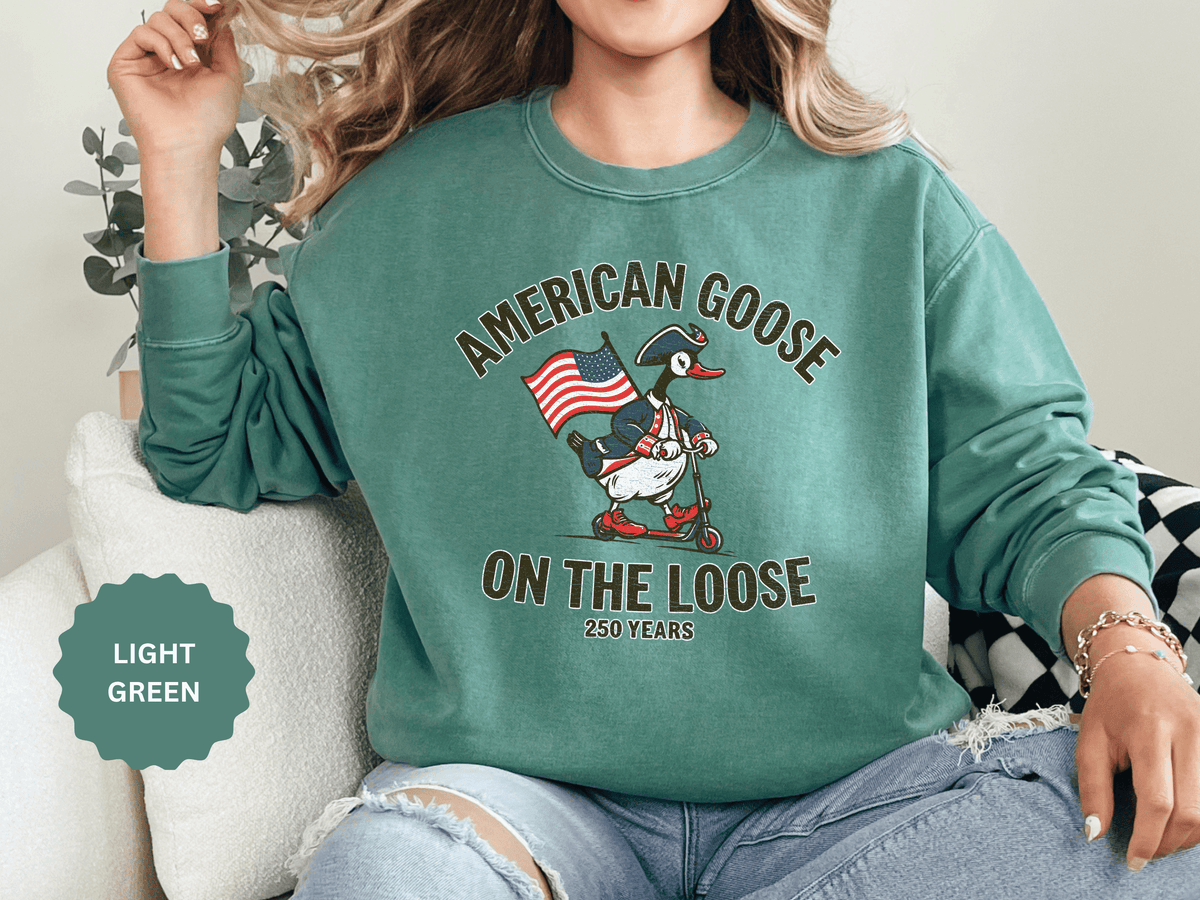 America 250 Sweatshirt, Patriotic Goose Graphic Pullover, 250th Anniversary USA Crewneck, Fourth of July Outfit, Americana Gift