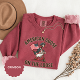 America 250 Sweatshirt, Patriotic Goose Graphic Pullover, 250th Anniversary USA Crewneck, Fourth of July Outfit, Americana Gift