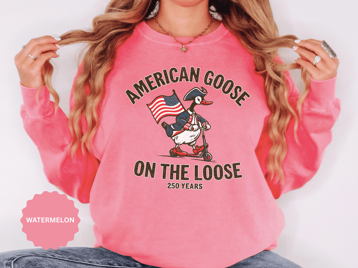 America 250 Sweatshirt, Patriotic Goose Graphic Pullover, 250th Anniversary USA Crewneck, Fourth of July Outfit, Americana Gift