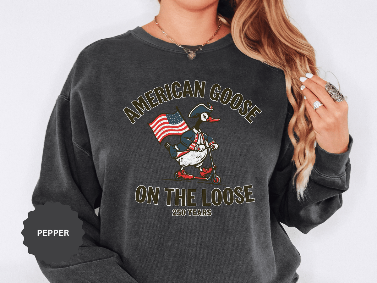 America 250 Sweatshirt, Patriotic Goose Graphic Pullover, 250th Anniversary USA Crewneck, Fourth of July Outfit, Americana Gift