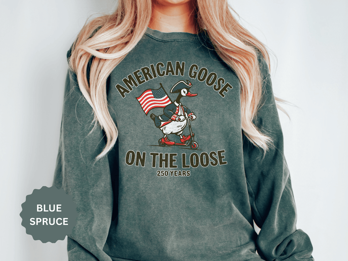 America 250 Sweatshirt, Patriotic Goose Graphic Pullover, 250th Anniversary USA Crewneck, Fourth of July Outfit, Americana Gift