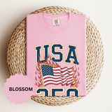 USA 250 Shirt, America 250th Anniversary T Shirt, Patriotic American Flag Tee, 1776 2026 Shirt, Fourth of July Gift, USA Birthday Tee