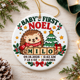 Personalized Baby Birth Stats Ornament, Hedgehog First Christmas Keepsake with Name Date Time Weight and Length, Newborn Gift for Parents