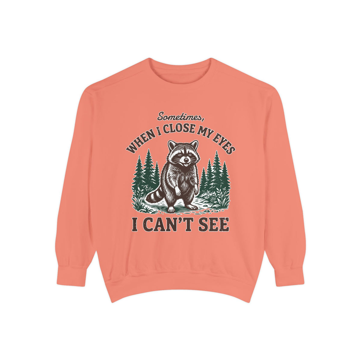 Funny Raccoon Comfort Colors Sweatshirt, Sarcastic Woodland Animal Crewneck, Sometimes When I Close My Eyes I Can’t See Sweatshirt