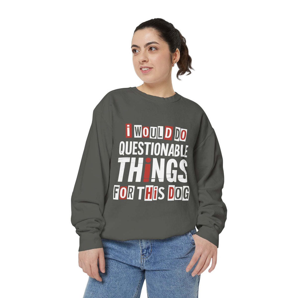 Funny Dog Lover Sweatshirt, I Would Do Questionable Things For This Dog Crewneck, Dog Dad Gift, Pet Lover Sweatshirt