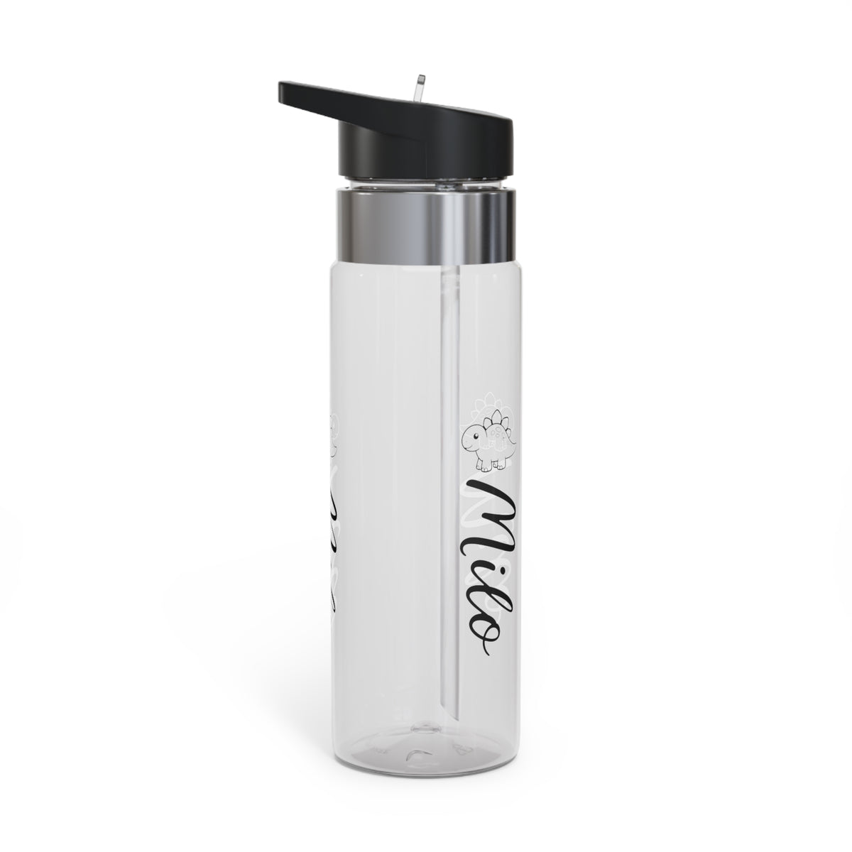 Custom Name Dinosaur Water Bottle, Personalized Dino Kids Tumbler, Cute Boy Birthday Gift, Clear Bottle for Toddler