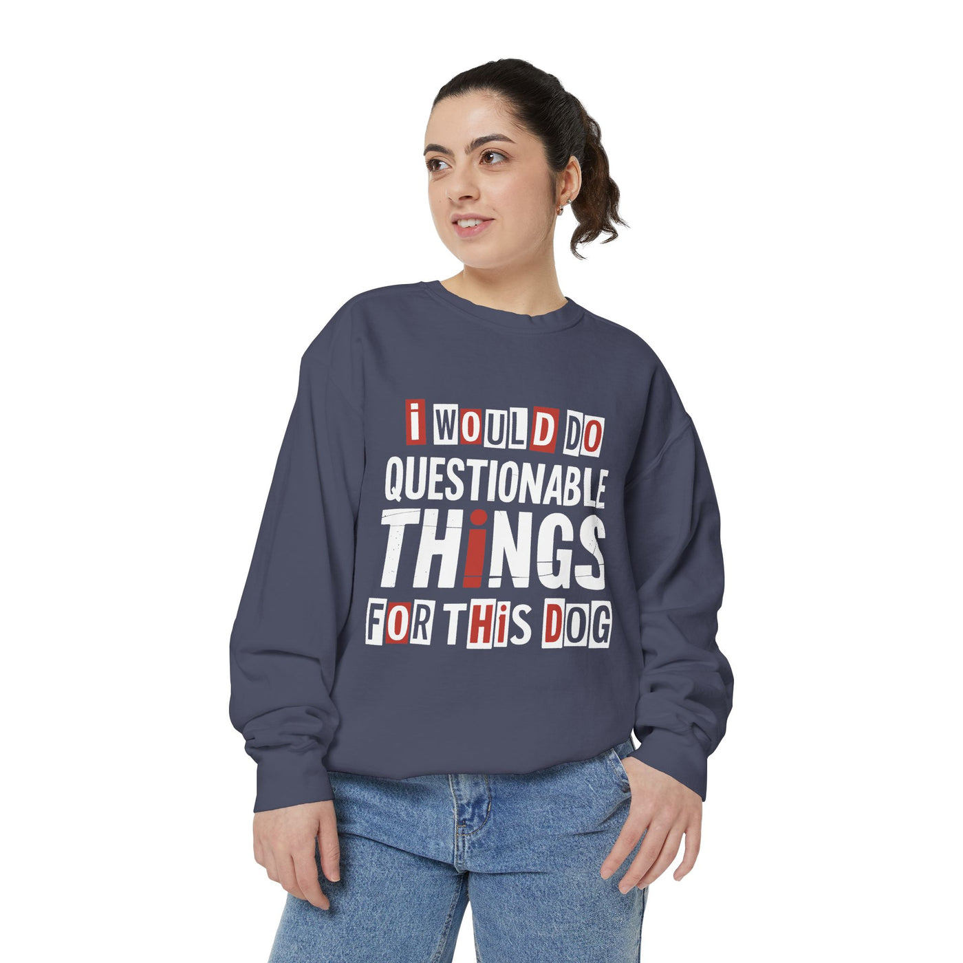 Funny Dog Lover Sweatshirt, I Would Do Questionable Things For This Dog Crewneck, Dog Dad Gift, Pet Lover Sweatshirt