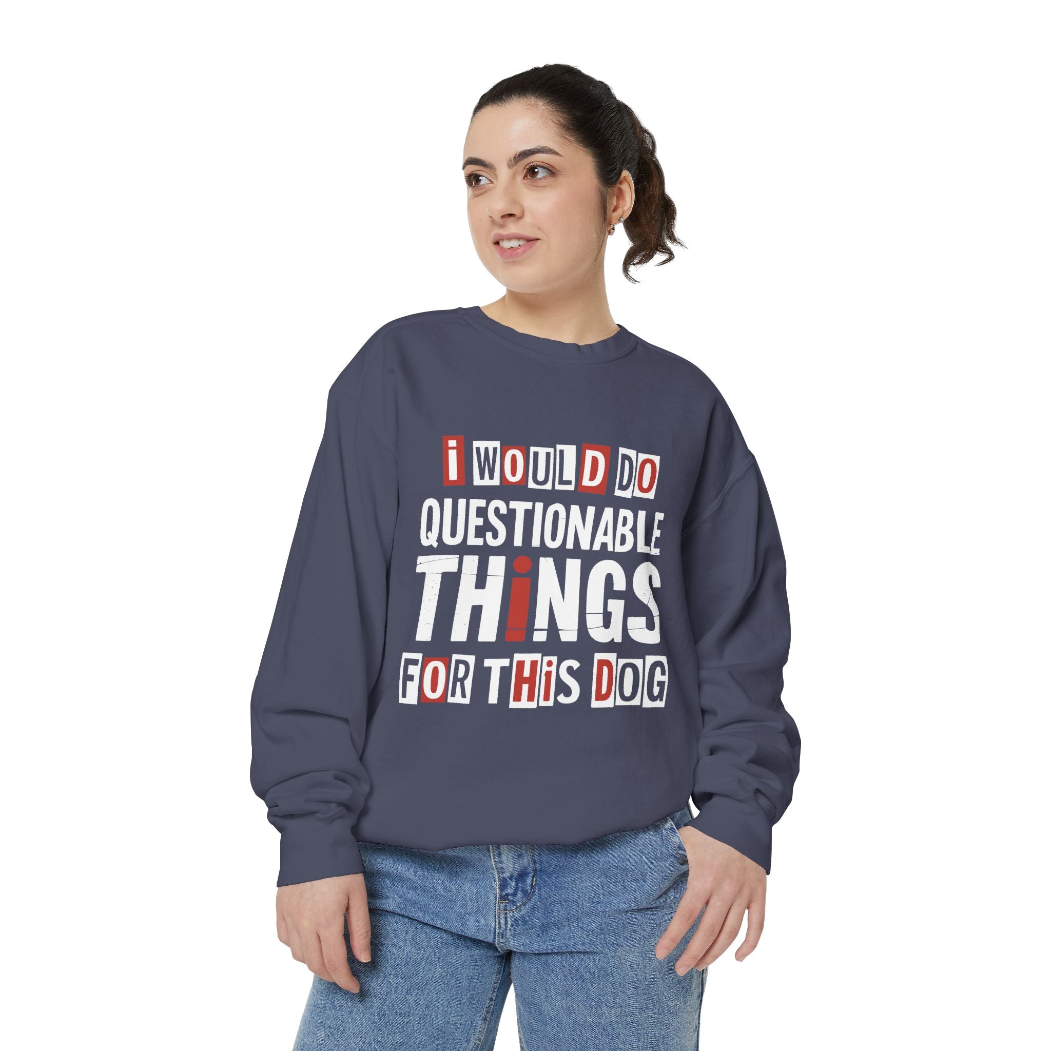Funny Dog Lover Sweatshirt, I Would Do Questionable Things For This Dog Crewneck, Dog Dad Gift, Pet Lover Sweatshirt