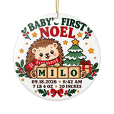 Personalized Baby Birth Stats Ornament, Hedgehog First Christmas Keepsake with Name Date Time Weight and Length, Newborn Gift for Parents